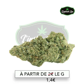 CBD Premium – Amnesia - 9,62%