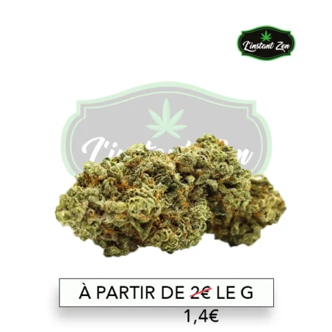 CBD Premium - Mango Haze - 13,72%