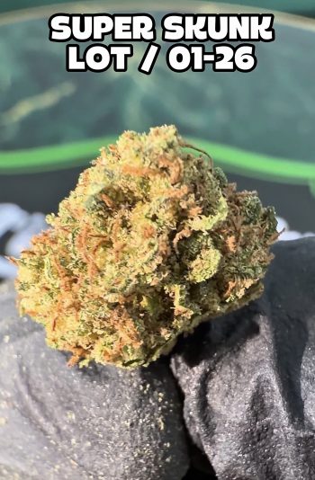Fleur de CBD Super Skunk de qualité premium