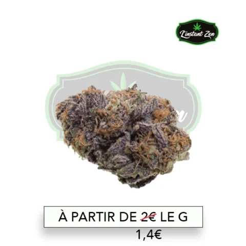 CBD Premium – Purple - 14,08%