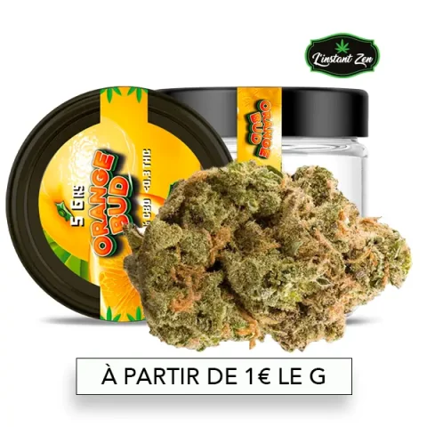 CBD Medium Bud – Orange bud - 11,08%