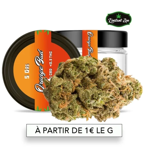 CBD Medium Bud – Orange bud - 11,08%