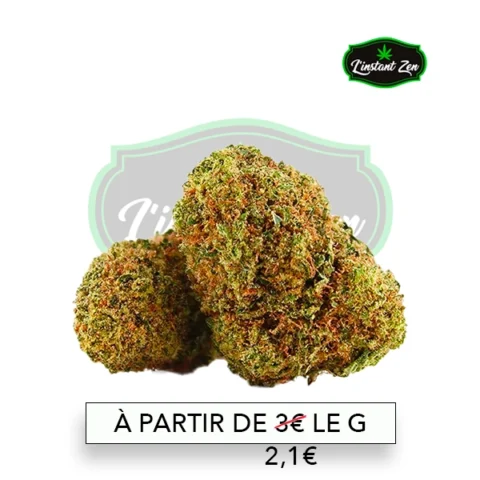 CBD Californie - GIRL SCOUT COOKIE - 17,25%