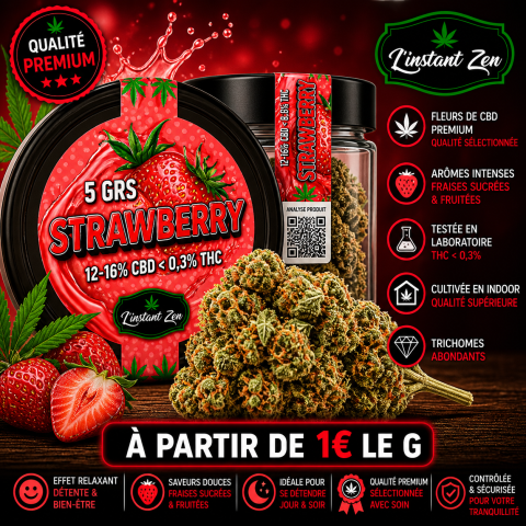 CBD Medium Bud - Strawberry x Banana - 14,26%