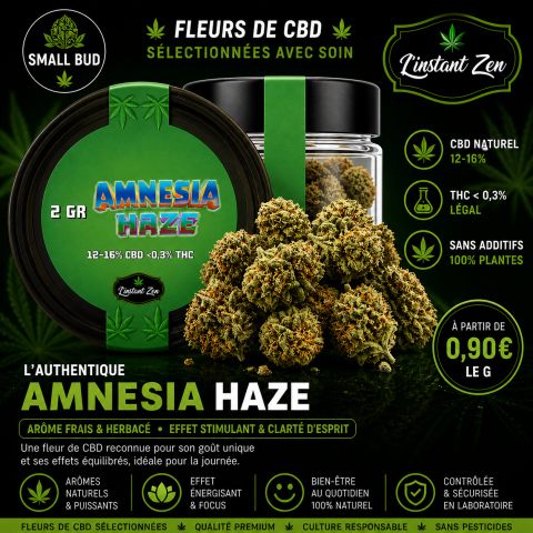 CBD Small Bud – Amnesia Haze - 15,5%