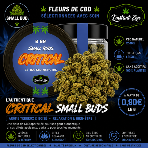 CBD Small Bud – Critical - 16,2%