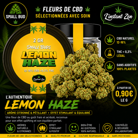 CBD Small Bud – Lemon Haze - 14,7%