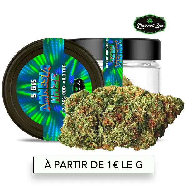 CBD Medium Bud – Amnesia - 16%