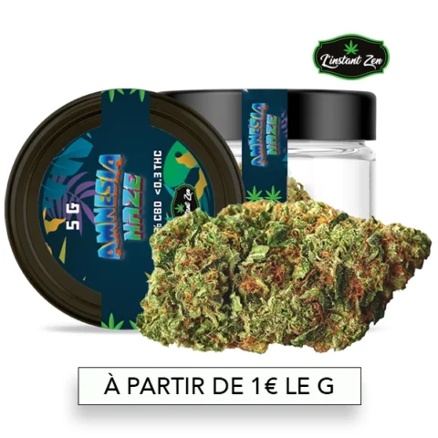 CBD Medium Bud – Amnesia - 16%