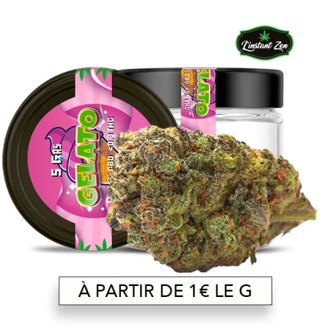 CBD Medium Bud – Gelato 41 - 16,5%