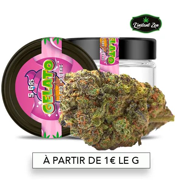 CBD Medium Bud – Gelato 41 - 16,5%