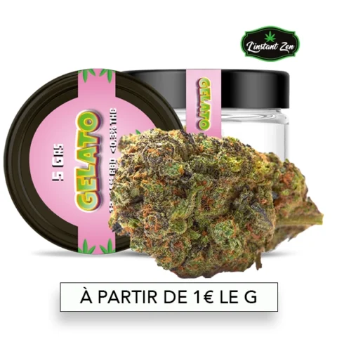 CBD Medium Bud – Gelato 41 - 16,5%