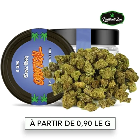 CBD Small Bud – Critical - 16,2%
