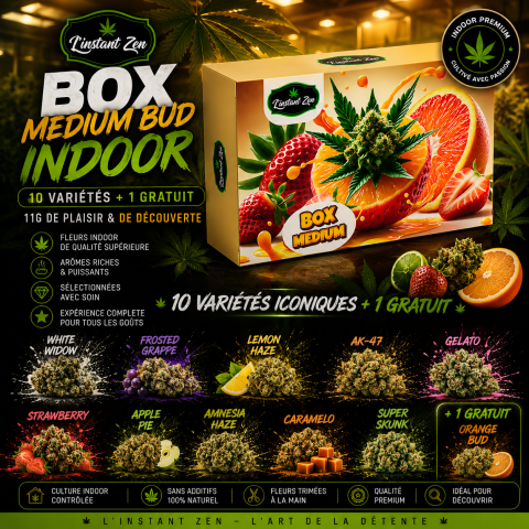 MEDIUM INDOOR BOX – 11 BUDS CBD