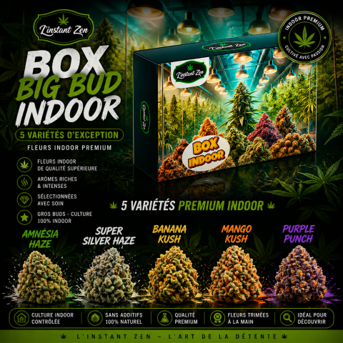 INDOOR BUD BOX -  5 FLEURS CBD PREMIUM