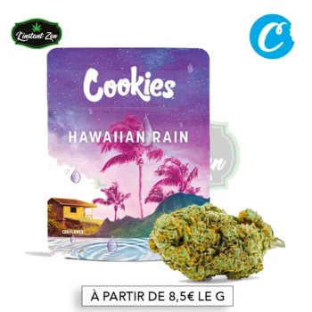 Cookies - Hawaiian Rain CBD - 25,3%