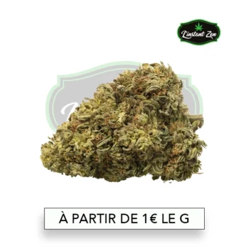 CBD Medium Bud – AK-47 - 13,4%