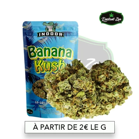 CBD Indoor - Banana Kush - 15,79%