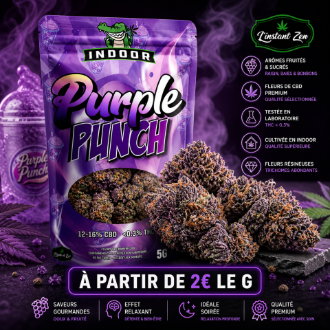 CBD Indoor - Purple Punch - 16,27%