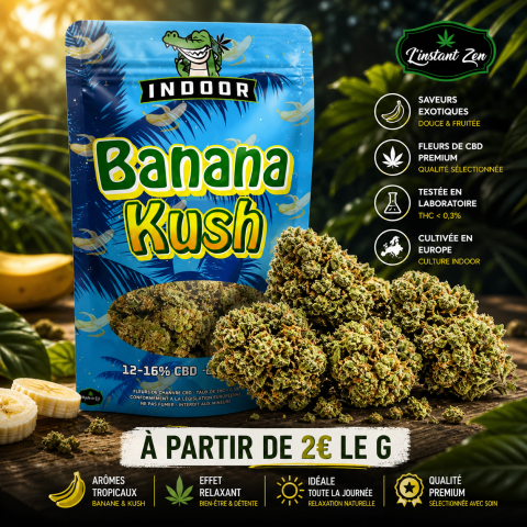 CBD Indoor - Banana Kush - 15,79%
