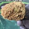 Fleur d'amnesia haze en sachet de qualité indoor