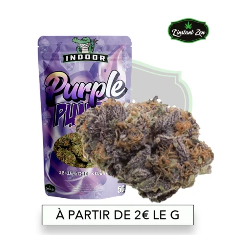 CBD Indoor - Purple Punch - 16,27%