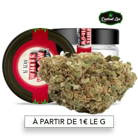 CBD Medium Bud – White Widow - 11,7%