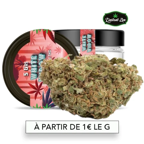 CBD Medium Bud – White Widow - 11,7%