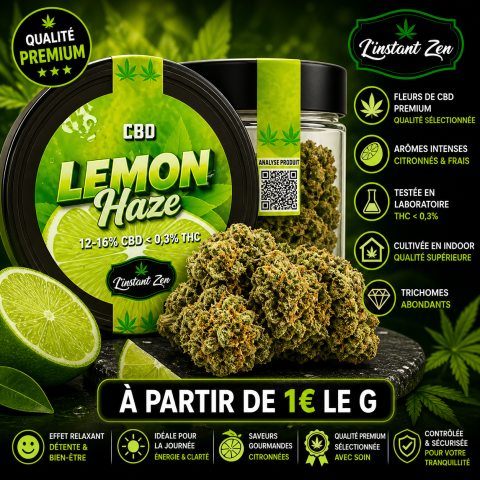 CBD Medium Bud – Lemon Haze - 15,46%