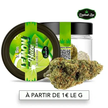 CBD Medium Bud – Lemon Haze - 15,46%