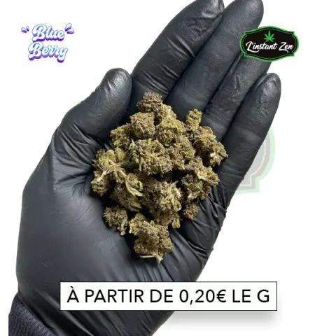 CBD - Blueberry - 14,38%