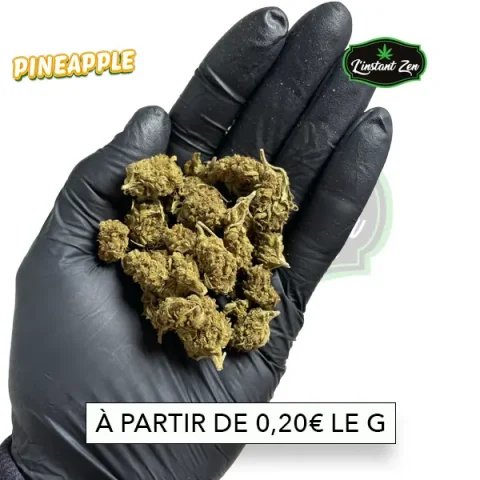 CBD - Pineapple - 12,80%