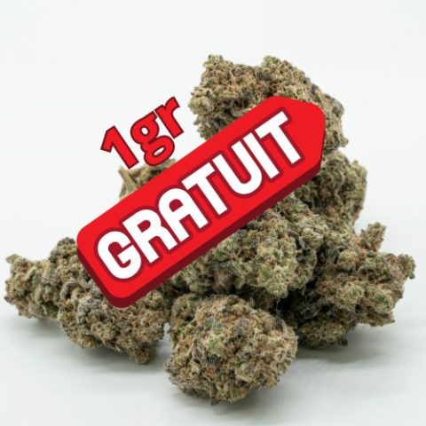 1gr - offert