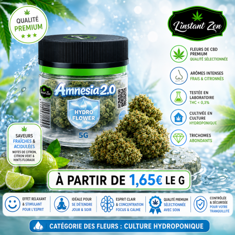 CBD Hydro – Amnesia 2.0 – 22 à 26%