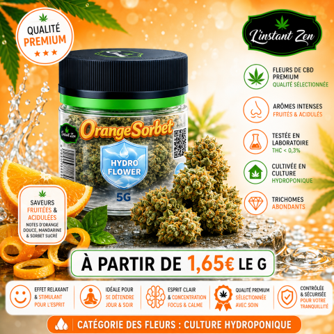 CBD Hydro – Orange Sorbet – 22 à 26%