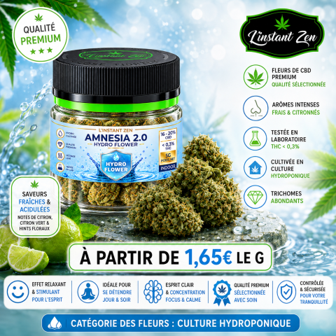 CBD Hydro – Amnesia 2.0 – 22 à 26%